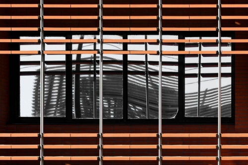 Reflets emprisonnés