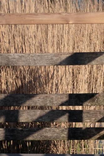 Balade autour du lac - Mars 2026